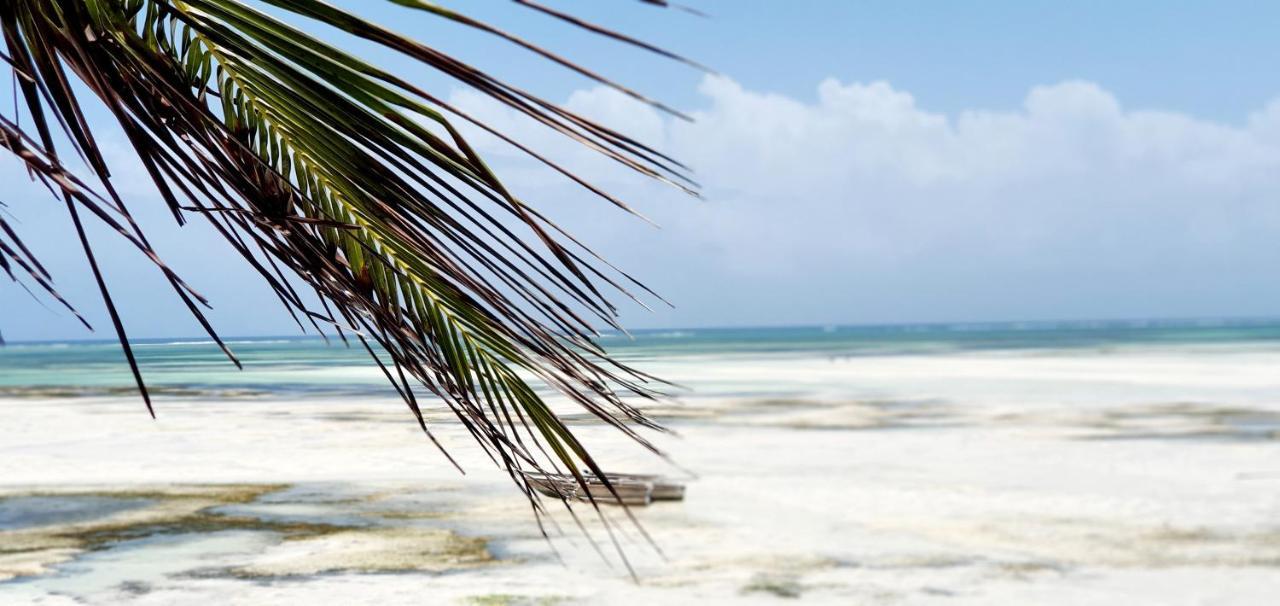 Arya Boutique Resort Kiwengwa  Eksteriør billede