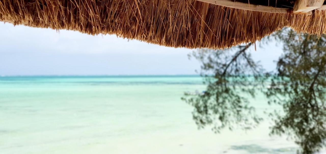 Arya Boutique Resort Kiwengwa  Eksteriør billede