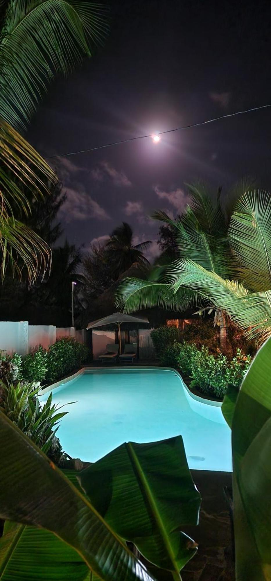 Arya Boutique Resort Kiwengwa  Eksteriør billede